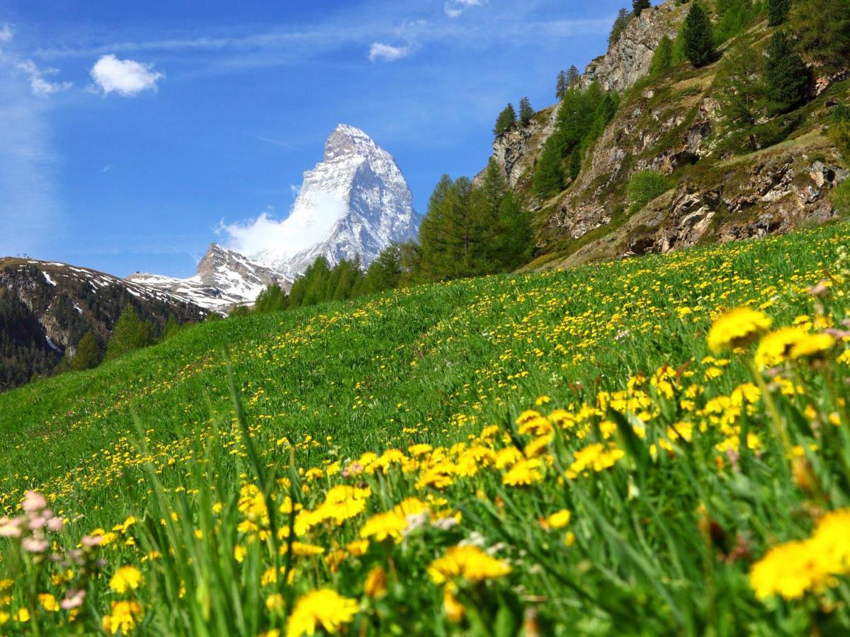 Apartment Dianthus-1 By Interhome Zermatt Luaran gambar