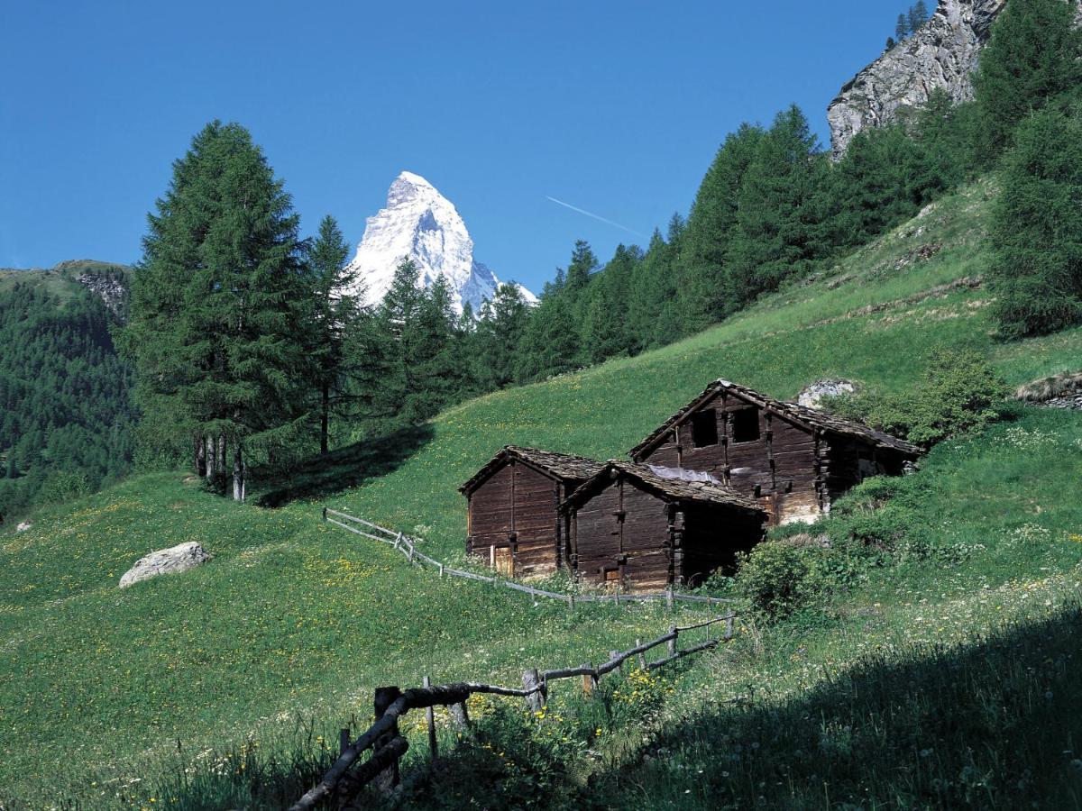 Apartment Dianthus-1 By Interhome Zermatt Luaran gambar